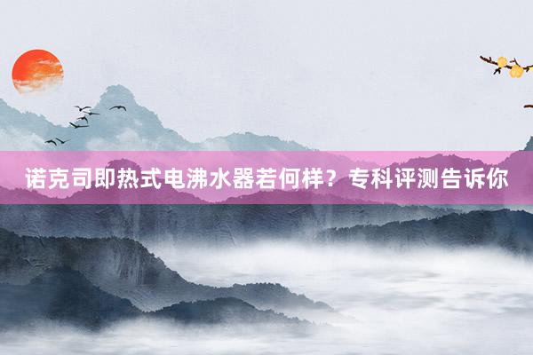 诺克司即热式电沸水器若何样？专科评测告诉你